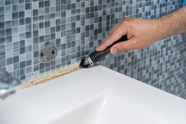 Best Toxic Mold Removal  in Altoona, WI